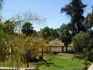 奥茨胡恩Oudtshoorn Guest House的棕榈树公园和围栏
