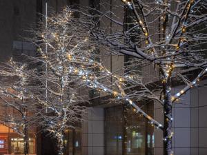 札幌三井花园饭店札幌的相册照片