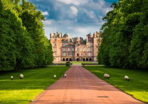 桑希尔Stableyard Studio: Drumlanrig Castle的一座大城堡,绵羊沿着马路走