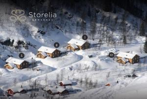 海姆瑟达尔Storelia的雪覆盖的村庄的空中景观