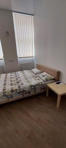 利沃夫Apartments in Lemberg的一间卧室配有一张床、一张桌子和一个窗户。