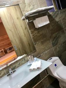 麦德林HOTEL CASA MAYOR LA 70的一间带水槽、卫生间和镜子的浴室