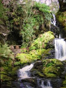 波特马多克Aberdunant Hall Holiday Park的森林中的瀑布,森林中长满了岩石和树木