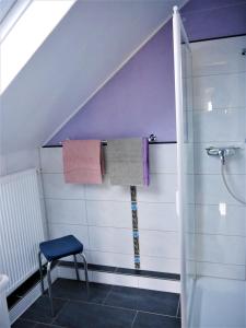 赫尔斯特尔Gästehaus AM HERMANN的带淋浴和墙上毛巾的浴室