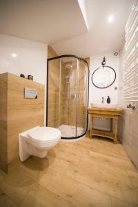 波罗宁Apartamenty Stare Izby的带淋浴、卫生间和盥洗盆的浴室