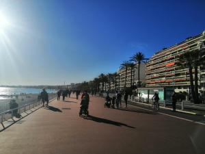 尼斯Cosy Studio 200 m from Nice Beach & Promenade des Anglais的相册照片
