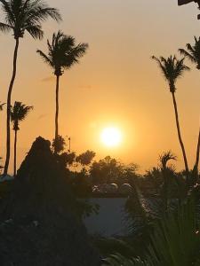 杰里科科拉Pousada Coral Negro的游泳池前棕榈树的日落