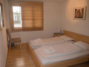 阿德尔博登舒茨森纳汉度假公寓的配有椅子和窗户的客房内的两张床