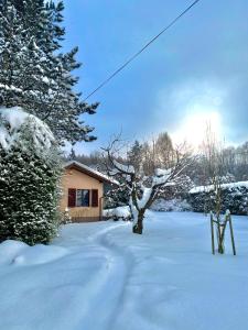 别尔斯克-比亚拉Sielankowy domek w górach的一座有房子和树的雪地覆盖的院子