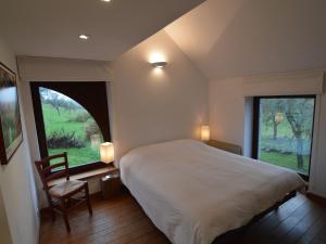 希迈Quaint Holiday Home in Robechies amid Meadows的一间卧室设有一张大床和两个窗户。