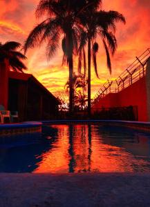 PotrerillosCasona del Valle的棕榈树游泳池旁的日落