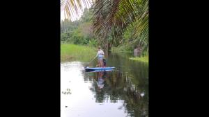 喀巴里特Room in Lodge - Method Living Tropical Edition的水中一个在桨板上的人