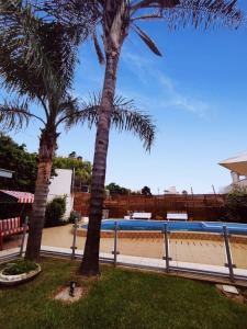 维拉卡洛斯帕兹Gran Lourdes Hotel by CPH的两棵棕榈树,毗邻游泳池