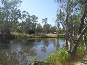 Dimboola丁布拉汽车旅馆的相册照片