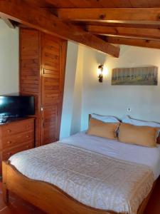 萨布盖鲁克鲁塞罗之家农家乐的一间卧室设有一张床、一台电视和木制天花板