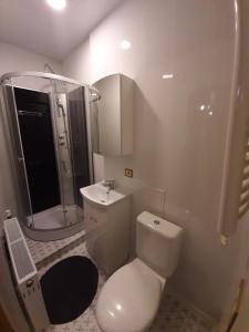 文茨皮尔斯布基娱乐露营地的浴室配有卫生间、淋浴和盥洗盆。