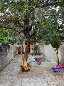 梅里达Hotelito YUM KAAX的庭院里一群椅子和一棵树