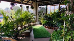 马迪凯里Cornwall Coorg的种植了大量植物和绿色地毯的温室