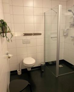 's-GravenmoerHotel Hof van 's Gravenmoer的一间带卫生间和玻璃淋浴间的浴室