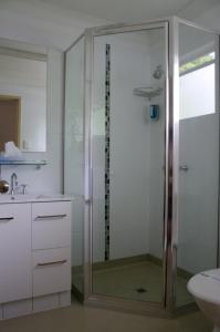 汤斯维尔思达汽车旅馆 的带淋浴的浴室和玻璃门