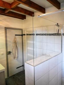 韦姆Landhaus am See von Robertville的浴室设有玻璃淋浴间和步入式衣柜。