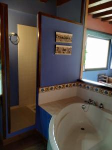 穆里略德加列戈Hotel rural reina Berta的一间带大浴缸和淋浴的浴室