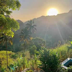 PaulCasa Das Ilhas的从棕榈树种植的田野欣赏日落美景
