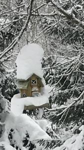 多尔尼莫拉瓦Sněženka的森林里雪覆盖的鸟舍