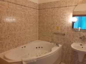 奥尔利采河畔乌斯季乌诺酒店的带浴缸和盥洗盆的浴室