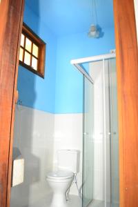 帕拉蒂Pouso Paratiense Jabaquara的一间带卫生间和玻璃淋浴间的浴室