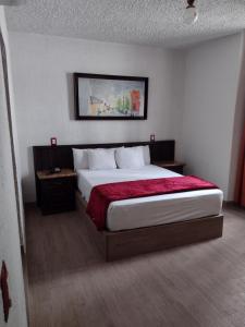 瓜达拉哈拉Hotel Don Quijote Plaza - Guadalajara Centro Historico的一间卧室配有一张带红色毯子的大床