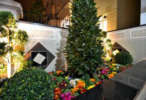 伦敦海德公园公寓的花卉和植物在建筑物中的展示