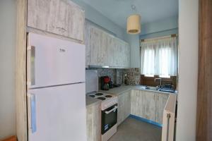 ManganítisΙκαριων Γη的厨房配有白色家电和白色冰箱
