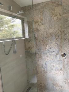 阿瑟山口Petes Place的浴室里设有玻璃门淋浴