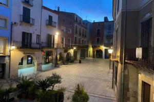 卡斯特罗·德波利亚斯Casa Moner Loft edifici històric centre medieval de Castelló的城市的空庭院