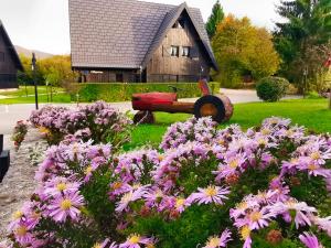 普利特维采湖Plitvice Luxury Etno Garden的一座花园,在房子前面种有紫色的花朵
