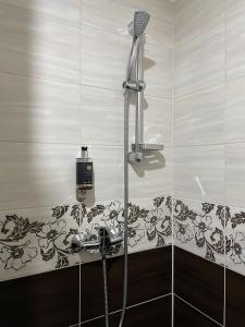 尼特拉Ubytovanie Zobor的浴室内配有淋浴、吹风机和水槽