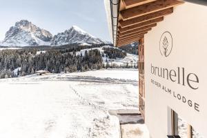 阿尔卑斯休斯山Brunelle Seiser Alm Lodge的相册照片