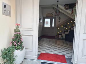 安娜贝格-布赫霍尔茨K5-Suites in der Altstadt Annaberg-Buchholz的走廊上带有楼梯的盆子上的圣诞树