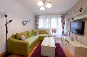 瓦列沃Apartman Centar Lux Valjevo的客厅配有绿色沙发和电视