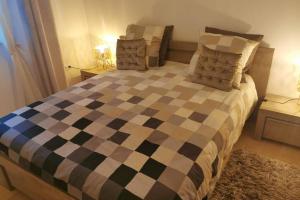 斯特拉斯堡Magnifique F3, 75m² avec Parking privé et Terrasse的一间卧室配有一张带两个枕头的可调节床
