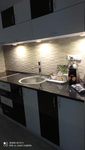 斯雷姆斯卡米特罗维察Apartman SILVER的厨房配有水槽和台面