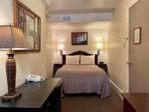波士顿绿洲宾馆的酒店客房配有一张床和一张带台灯的书桌