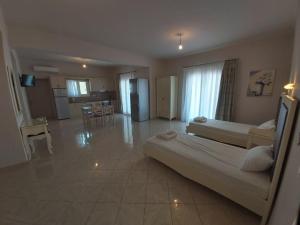 阿穆迪亚Konstantinos Apartments的一间大卧室,配有一张大床和一个厨房