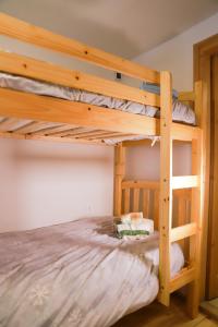 法尔西德COL DE RIF Appartamento Storico nelle Dolomiti的配有2张双层床的宿舍间