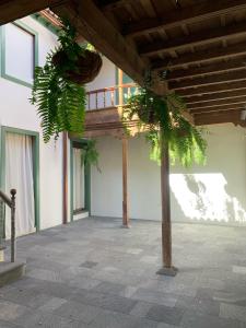 圣克鲁斯-德拉帕尔马Casa Emblemática Don Gabriel的一座带门廊的建筑,种植了盆栽植物