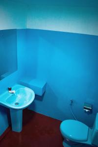 锡吉里亚Relax Nature Villa的蓝色的浴室设有卫生间和水槽