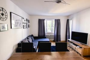 伯尔尼Armotti Apartments Friedheim的带沙发和电视的客厅