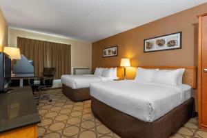 茅斯康福特茵酒店客房内的一张或多张床位