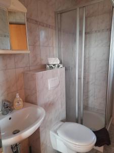 WasungenHaus Panoramablick Familie Loos的浴室配有卫生间、盥洗盆和淋浴。